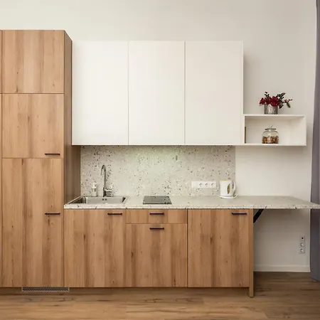 Air 110 Apartment *