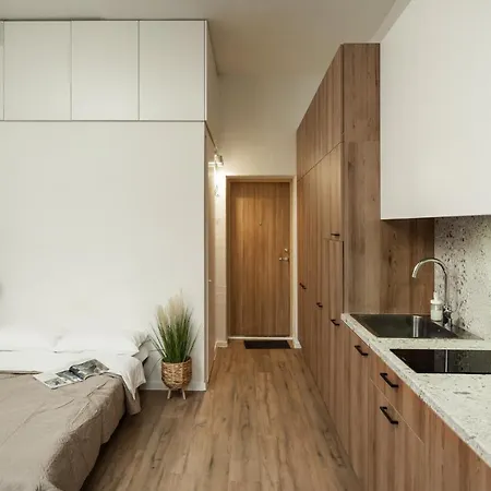 Apartment Air 110 Vilnius